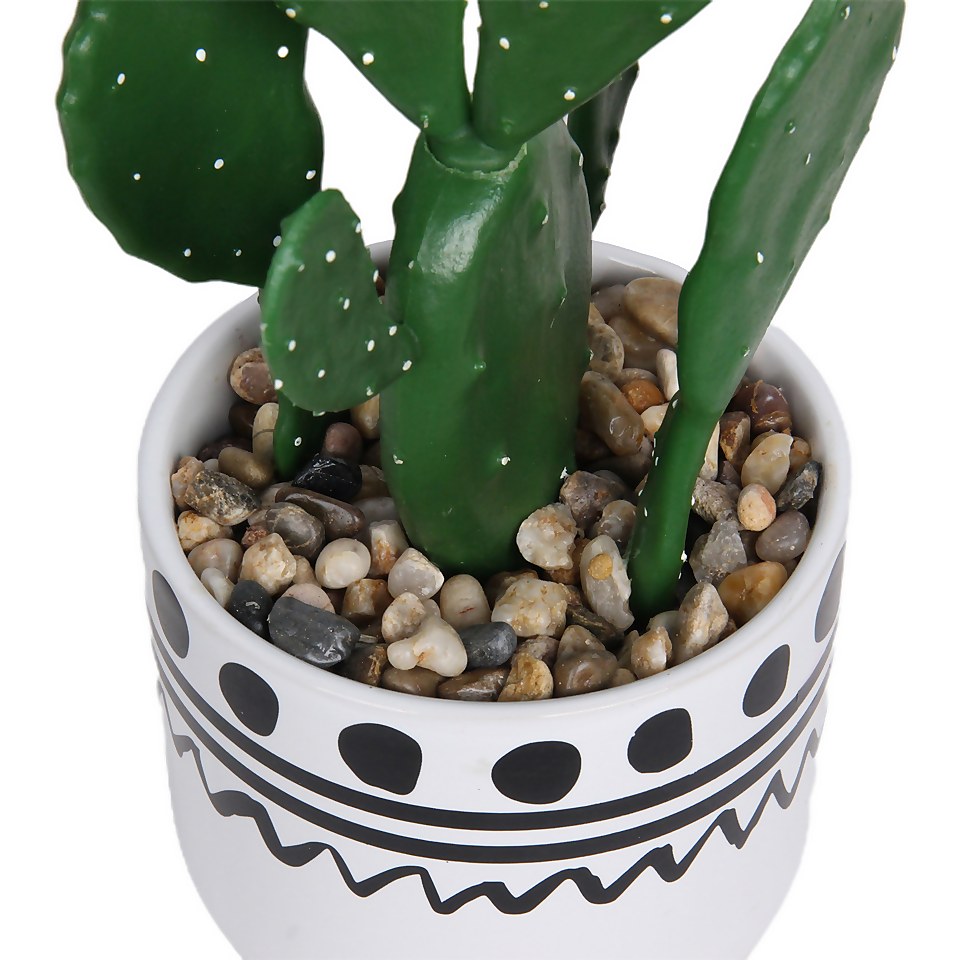 Cactus in Abstract Pot