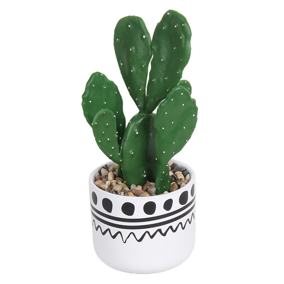 Cactus in Abstract Pot