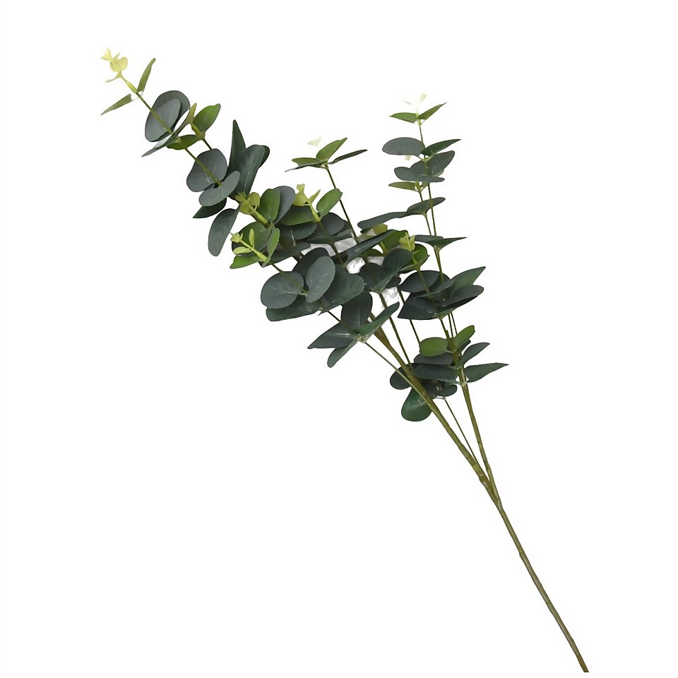 Eucalyptus - Green