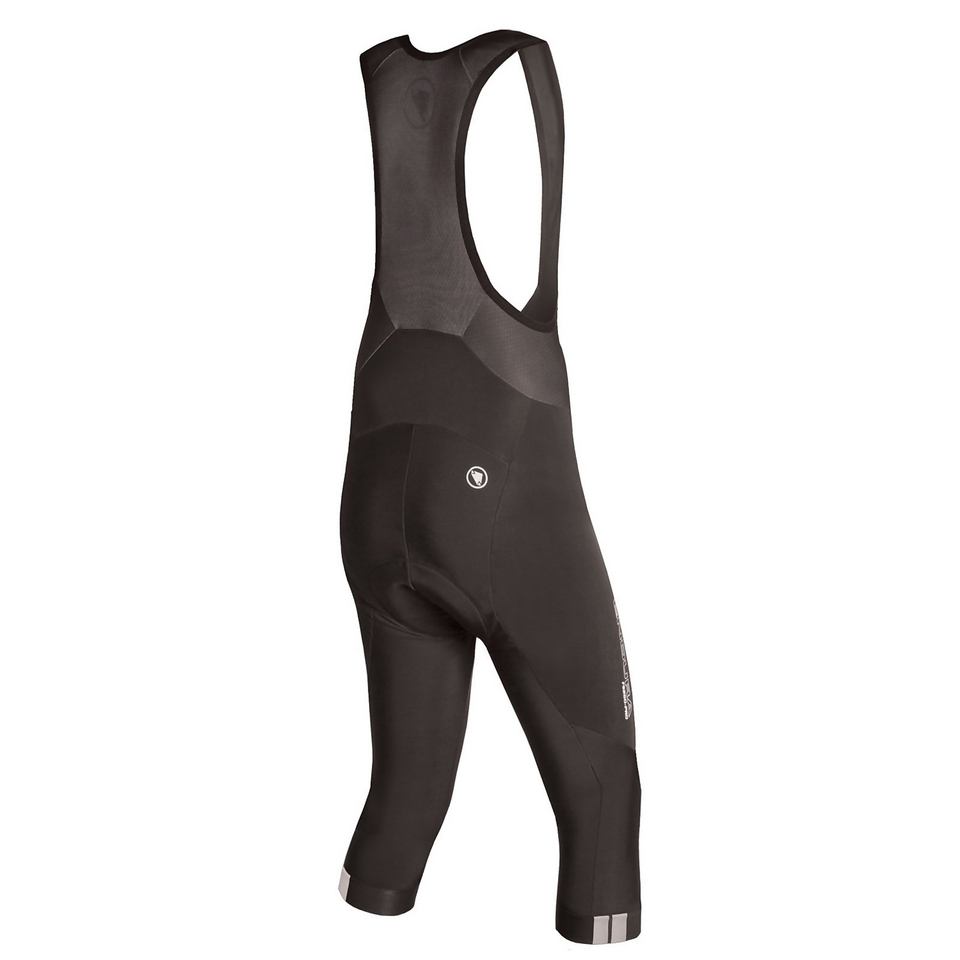Men's FS260-Pro Thermo Bibknicker - Black