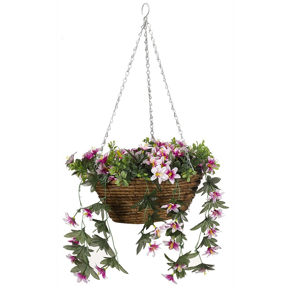 Easy Basket Star Gazing Lilies - 30cm