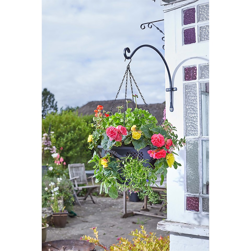 Flowerpro Hanging Basket - 15 Inch