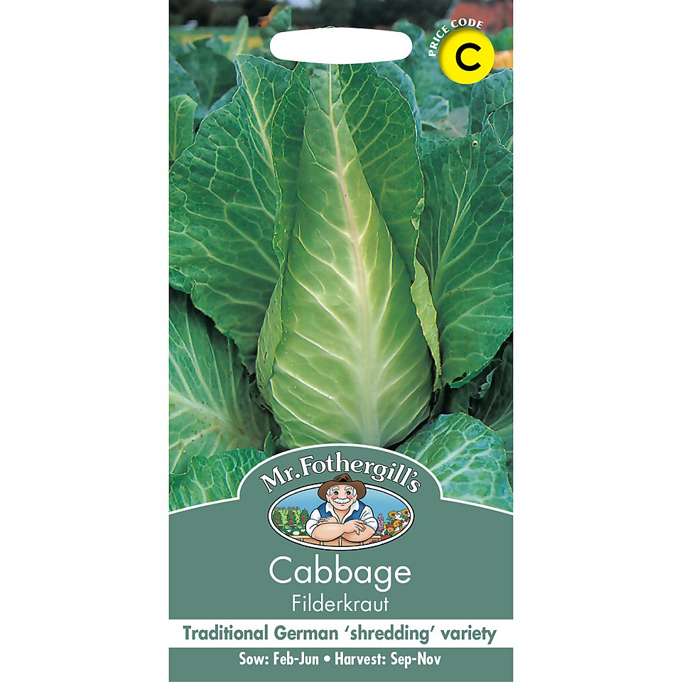 Mr. Fothergill's Cabbage Filderkraut Seeds