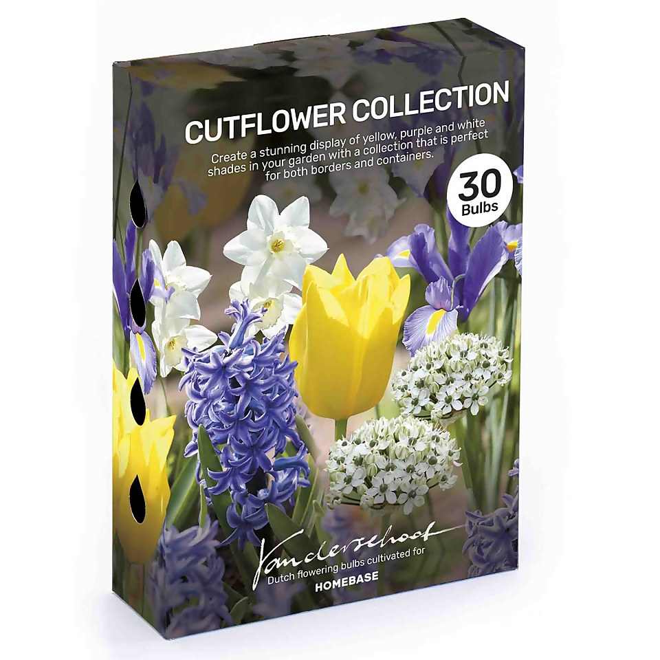 Cutflower Collection