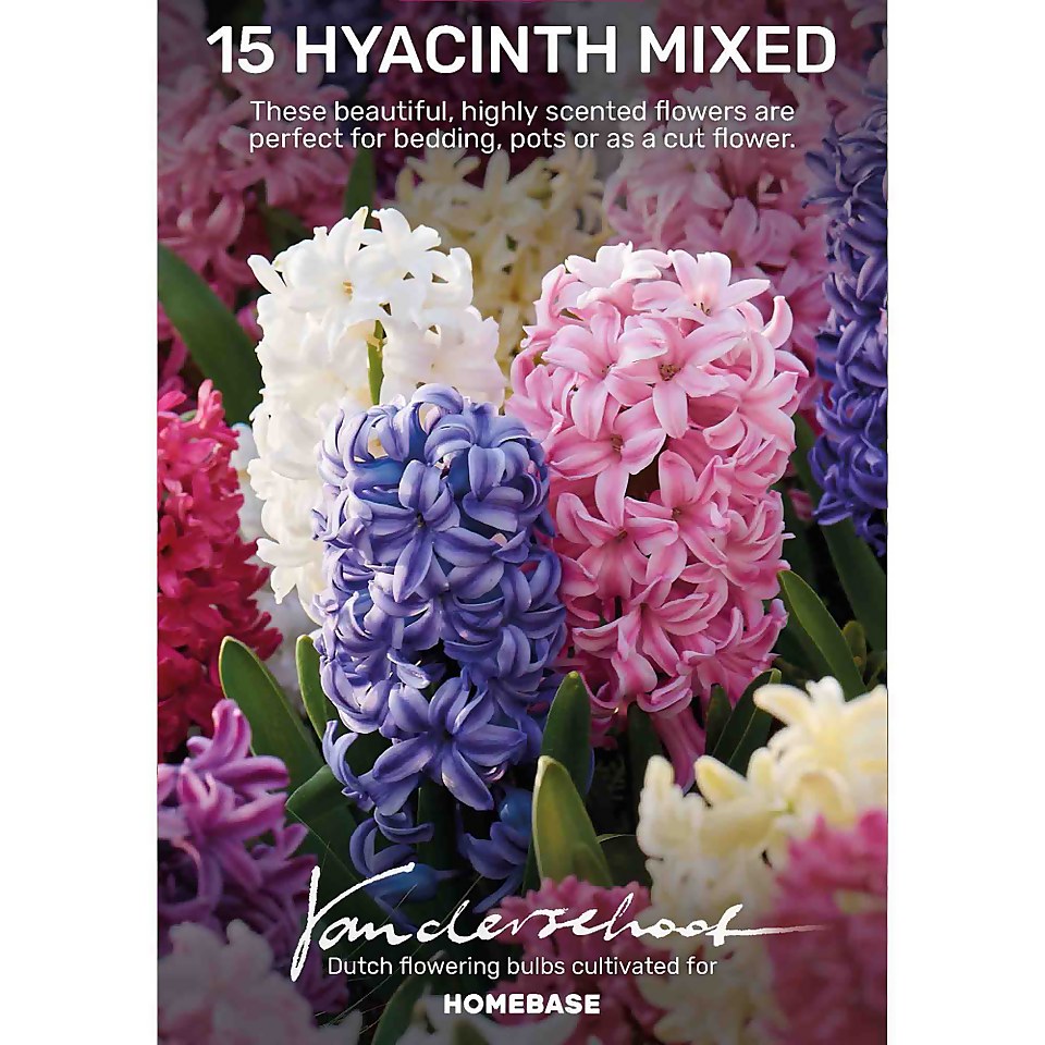 Hyacinth shoe cover discount