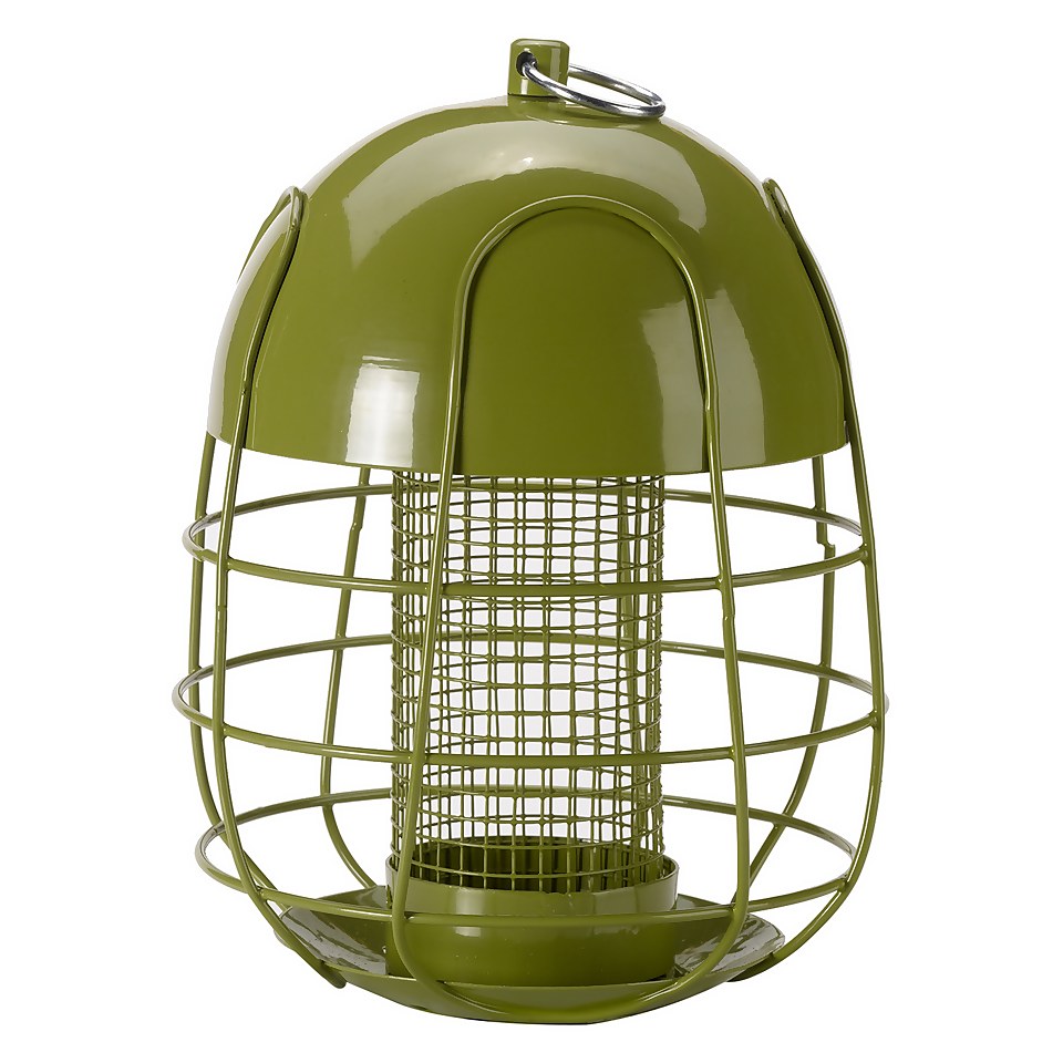 Chapelwood Acorn Squirrel Proof Peanut Feeder for Wild Birds Homebase