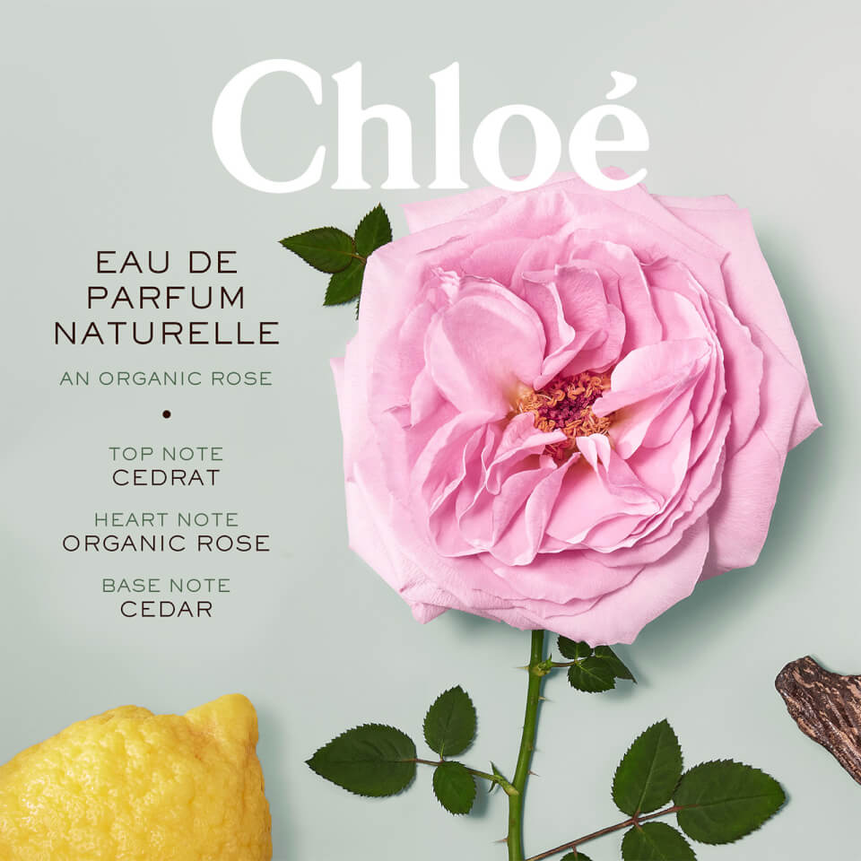 Chloe hot sale absolute perfume