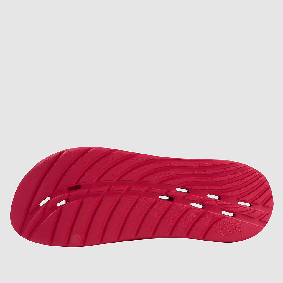 Speedo Pantoletten Rot für Herren
