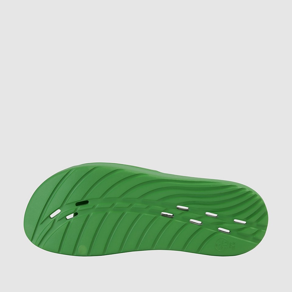 Men's Speedo Slide Green