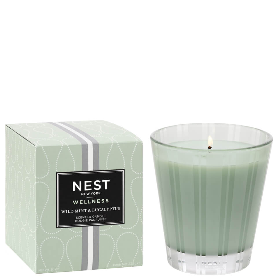 NEST New York Wild Mint and Eucalyptus Classic Candle 230g