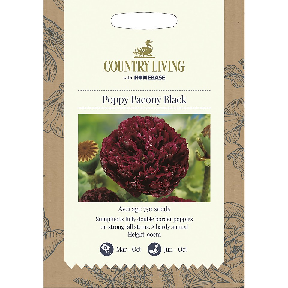 Country Living Poppy Paeony Black Seeds