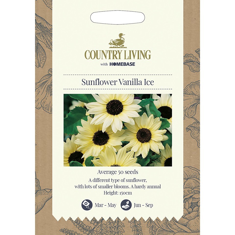 Country Living Sunflower Vanilla Ice Seeds