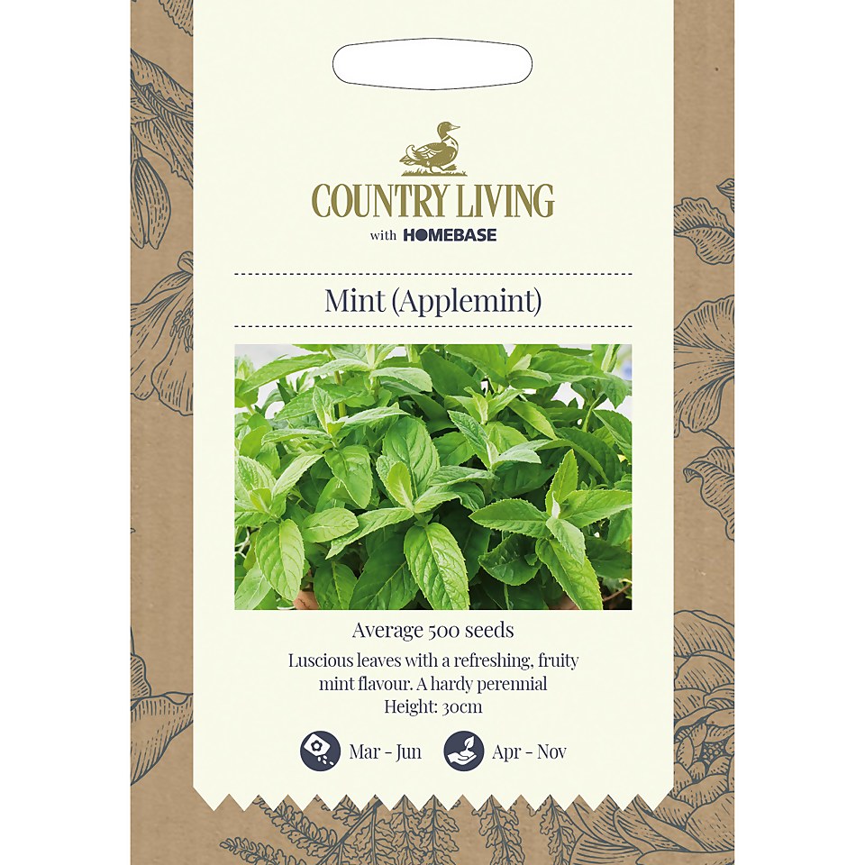 Country Living Mint Applemint Seeds