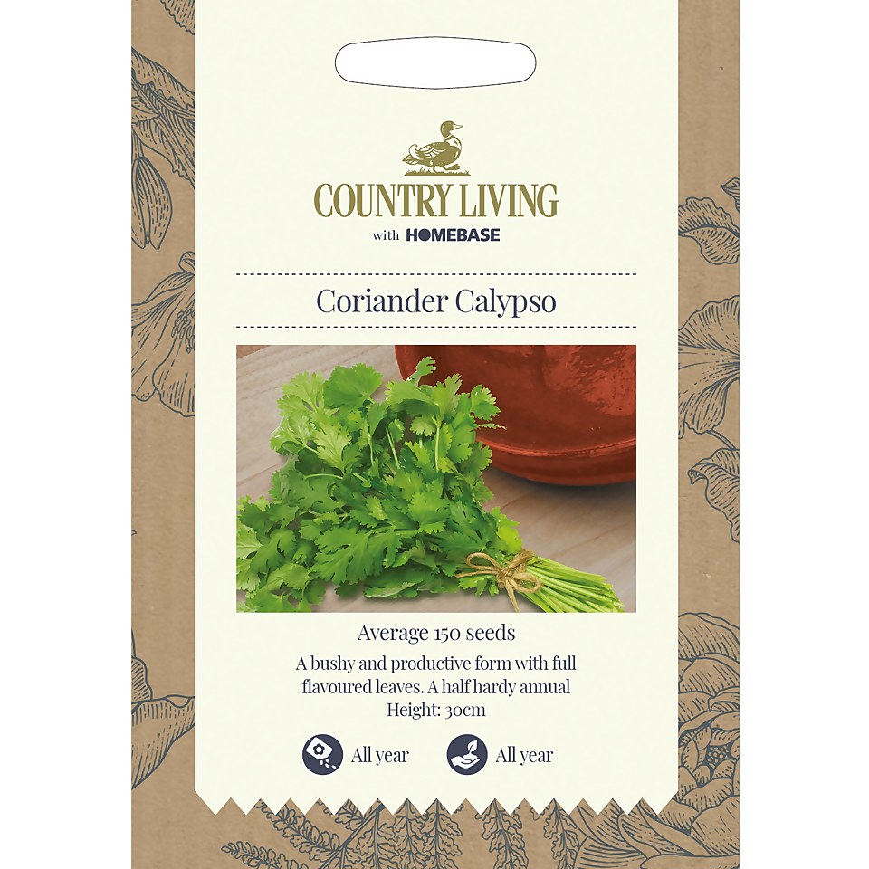Country Living Coriander Calypso Seeds