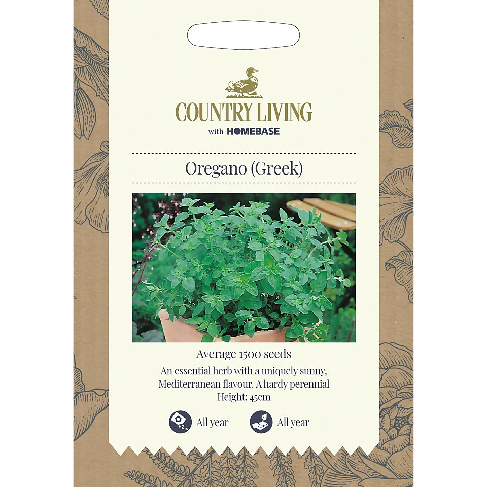 Country Living Oregano Greek Seeds