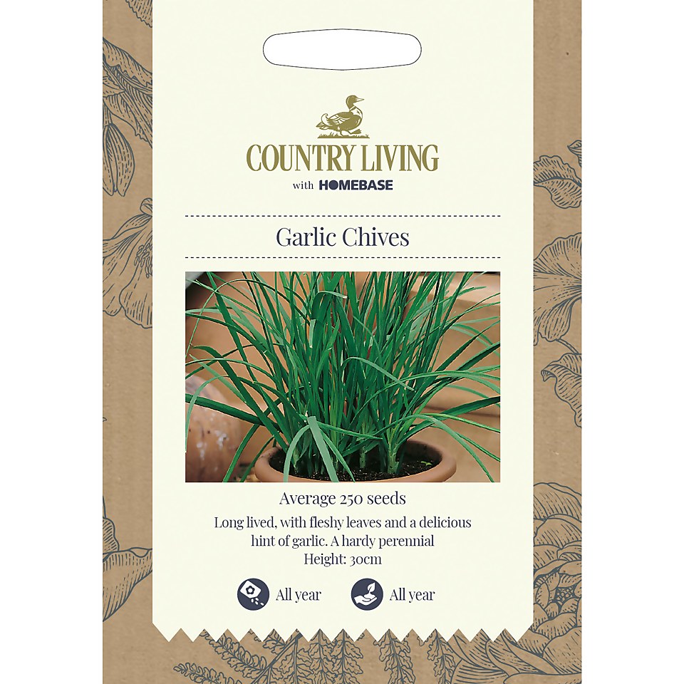 Country Living Garlic Chives Seeds