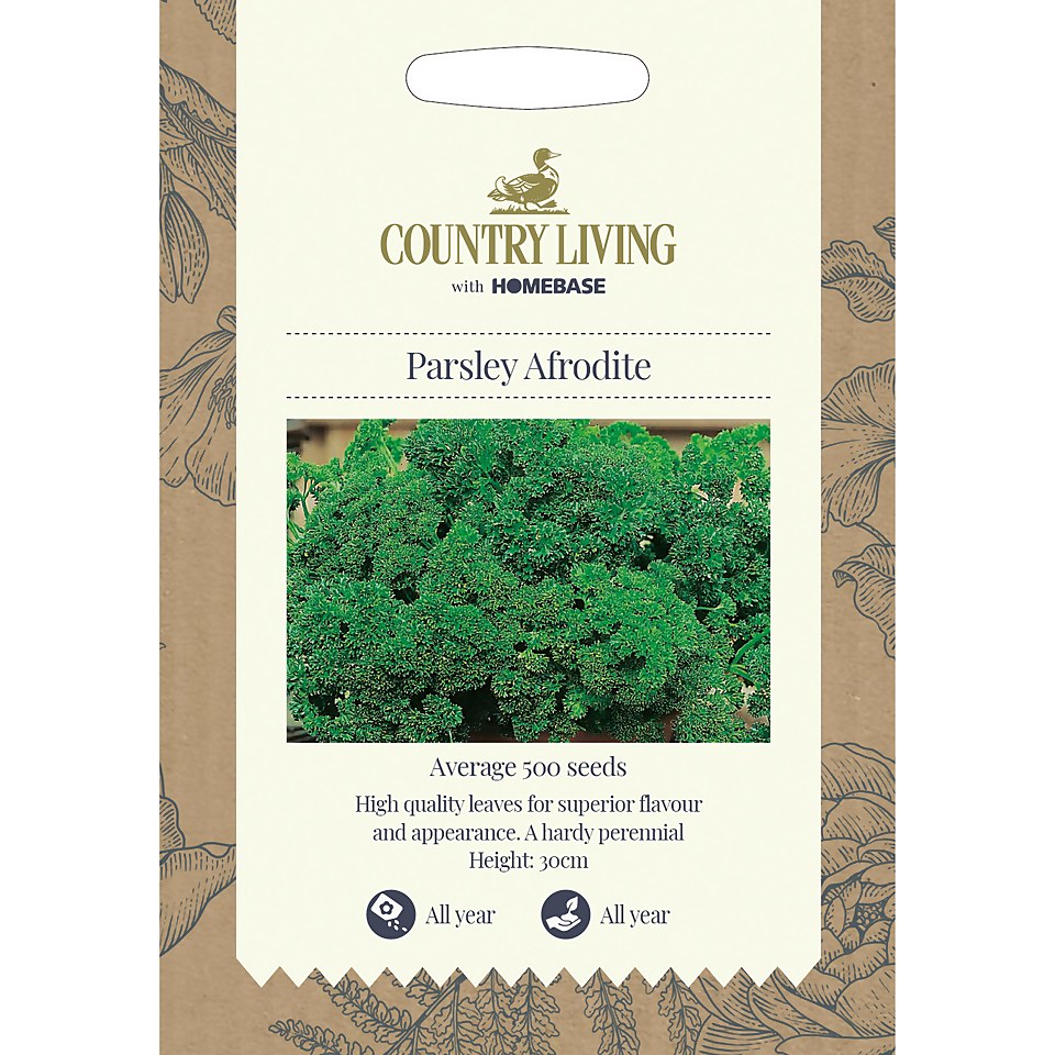 Country Living Parsley Afrodite Seeds