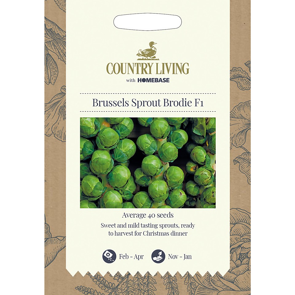 Country Living Brussels Sprout Brodie F1 Seeds