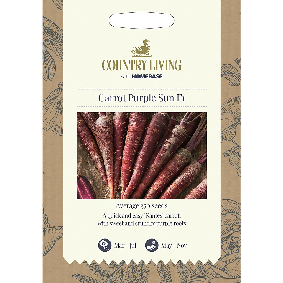 Country Living Carrot Purple Sun F1 Seeds