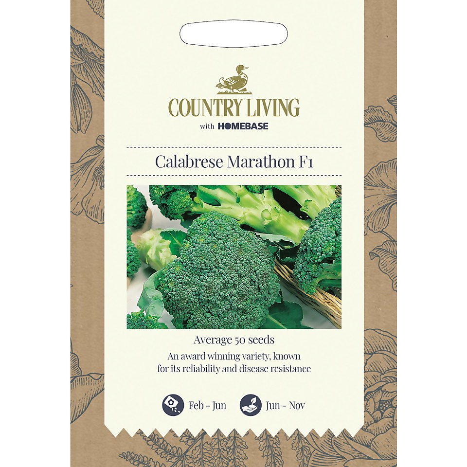 Country Living Calabrese Marathon F1 Seeds