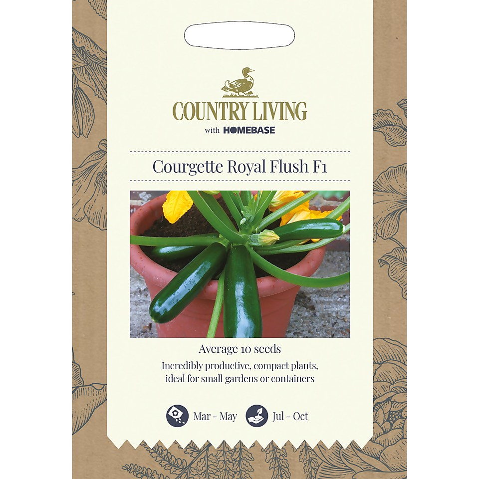 Country Living Courgette Royal Flush F1 Seeds