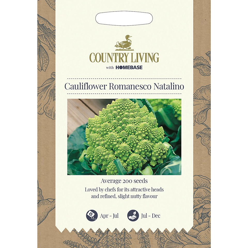 Country Living Cauliflower Romanesco Natalino Seeds