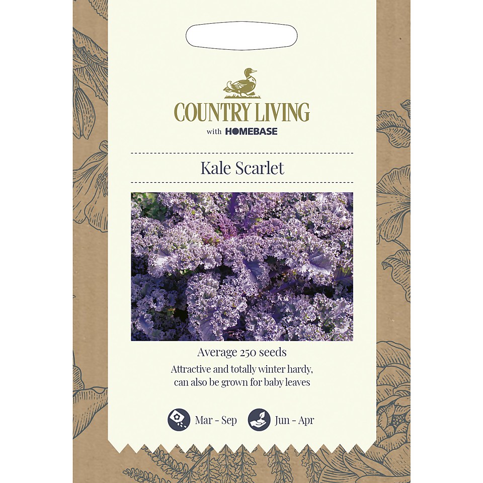 Country Living Kale Scarlet Seeds
