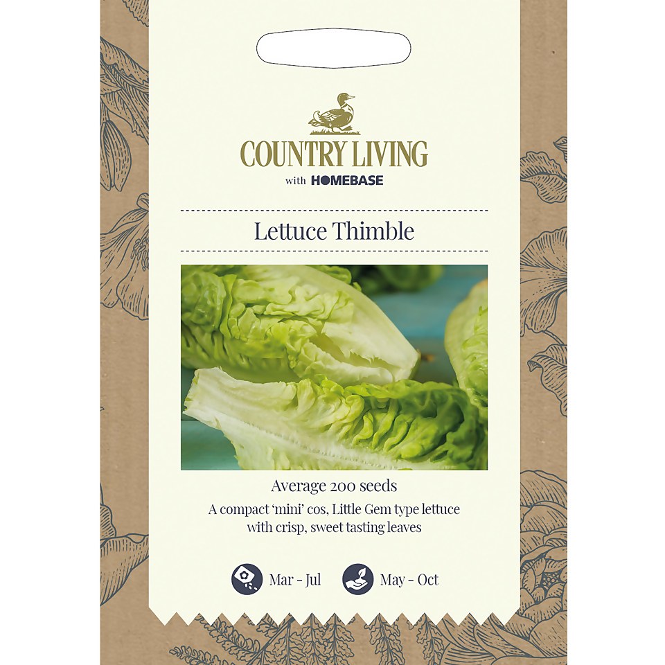 Country Living Lettuce Thimble Seeds