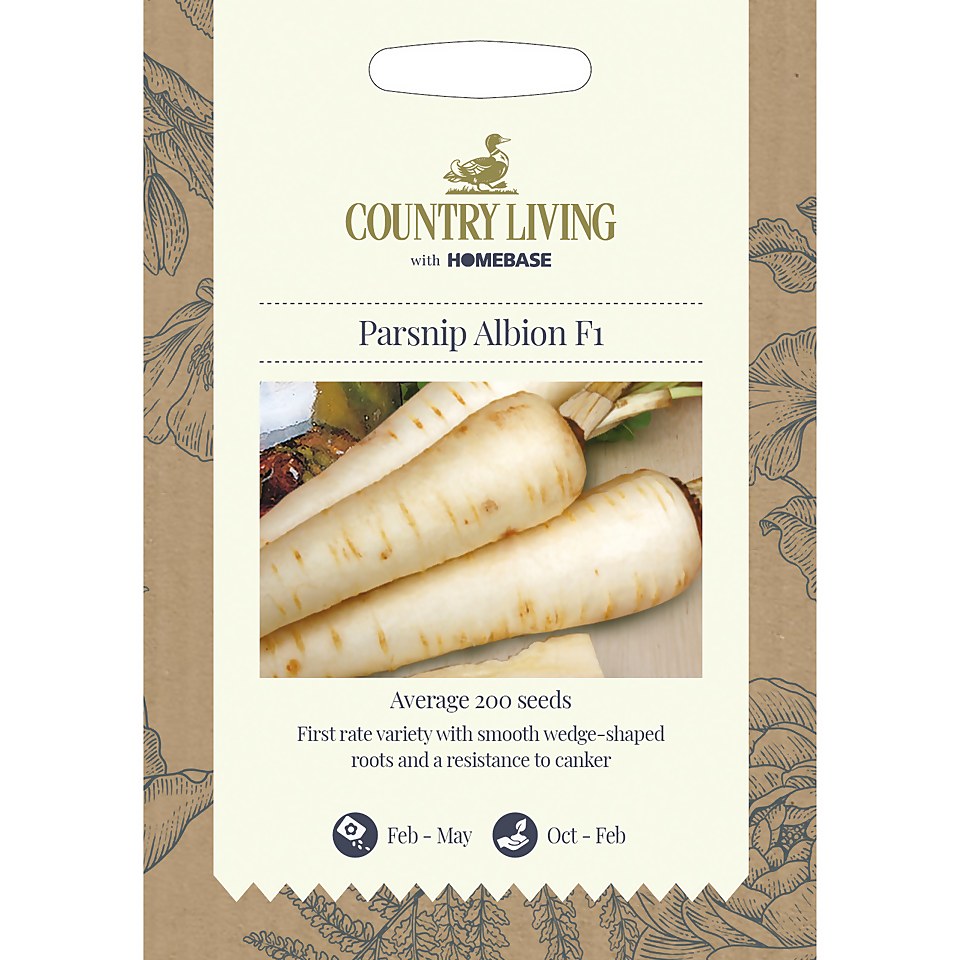 Country Living Parsnip Albion F1 Seeds