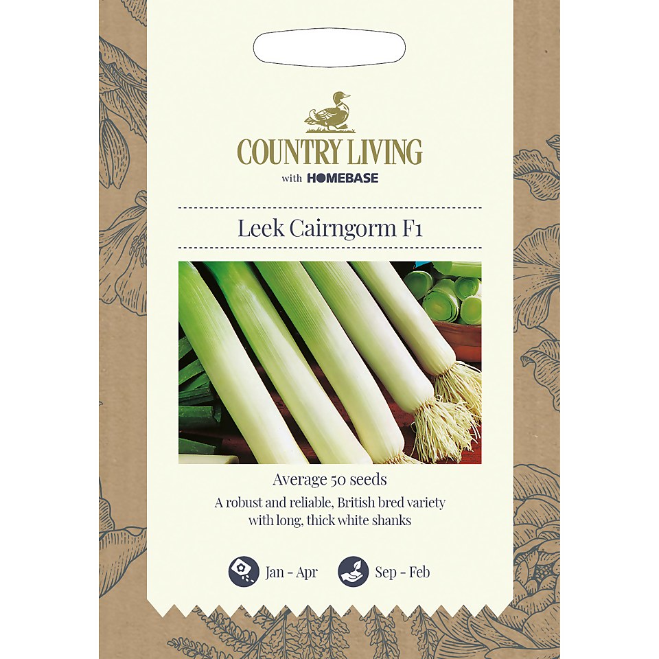 Country Living Leek Cairngorm F1 Seeds