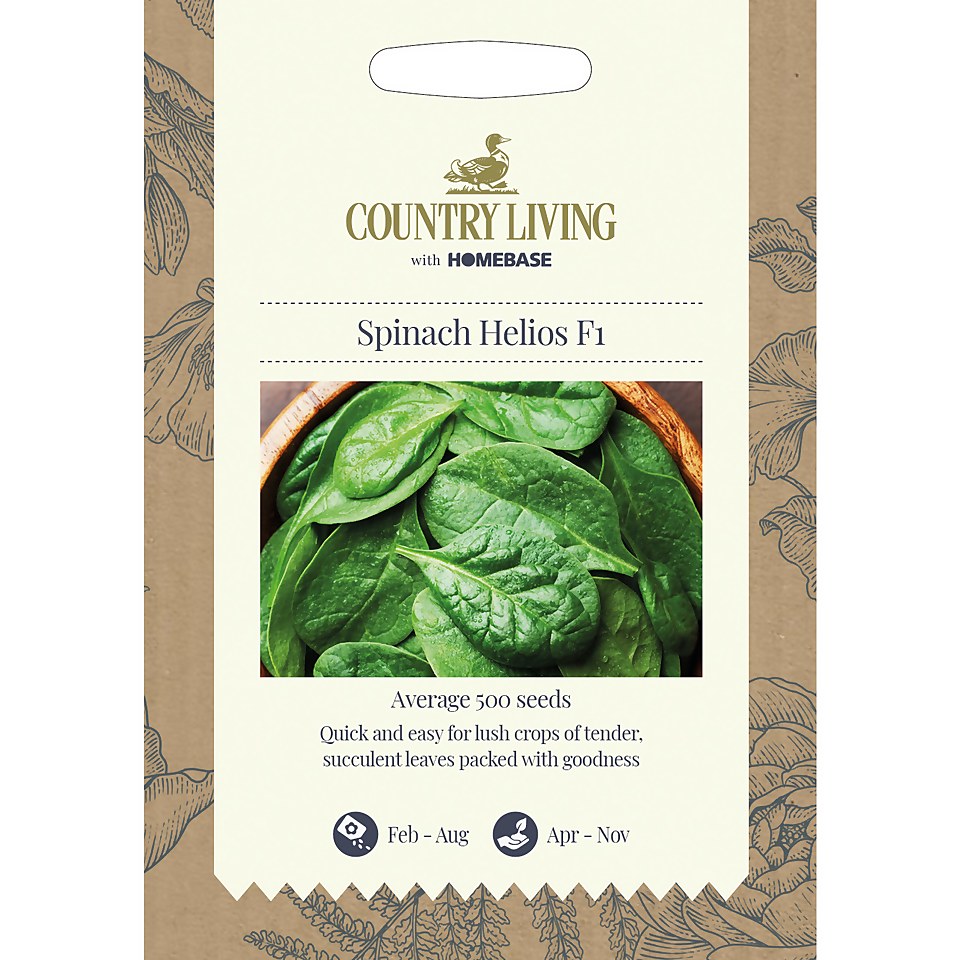 Country Living Spinach Helios F1 Seeds