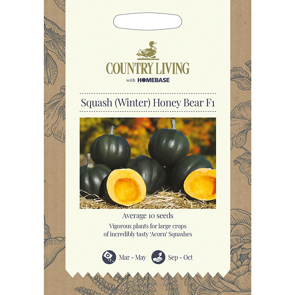 Country Living Squash Winter Honey Bear F1 Seeds