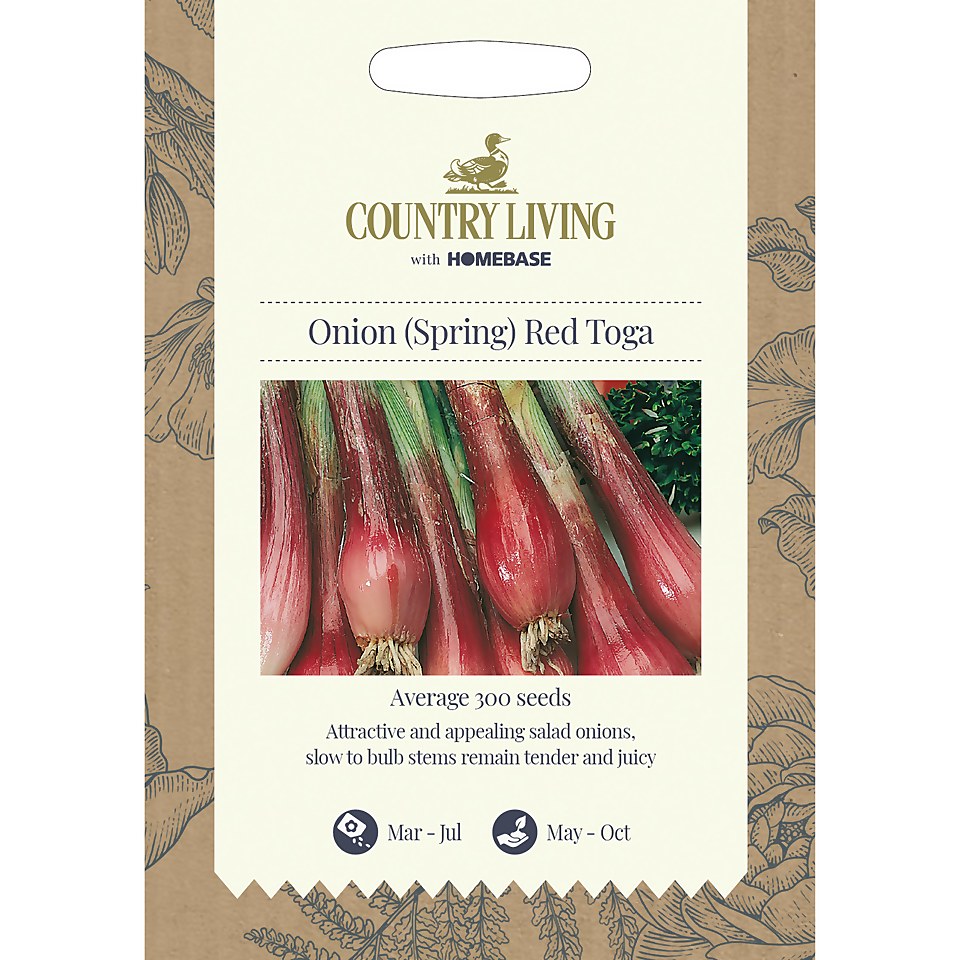 Country Living Onion Spring Red Toga Seeds