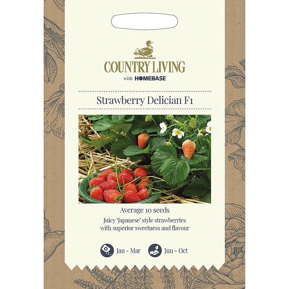 Country Living Strawberry Delician F1 Seeds