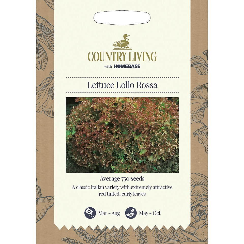 Country Living Lettuce Lollo Rossa Seeds