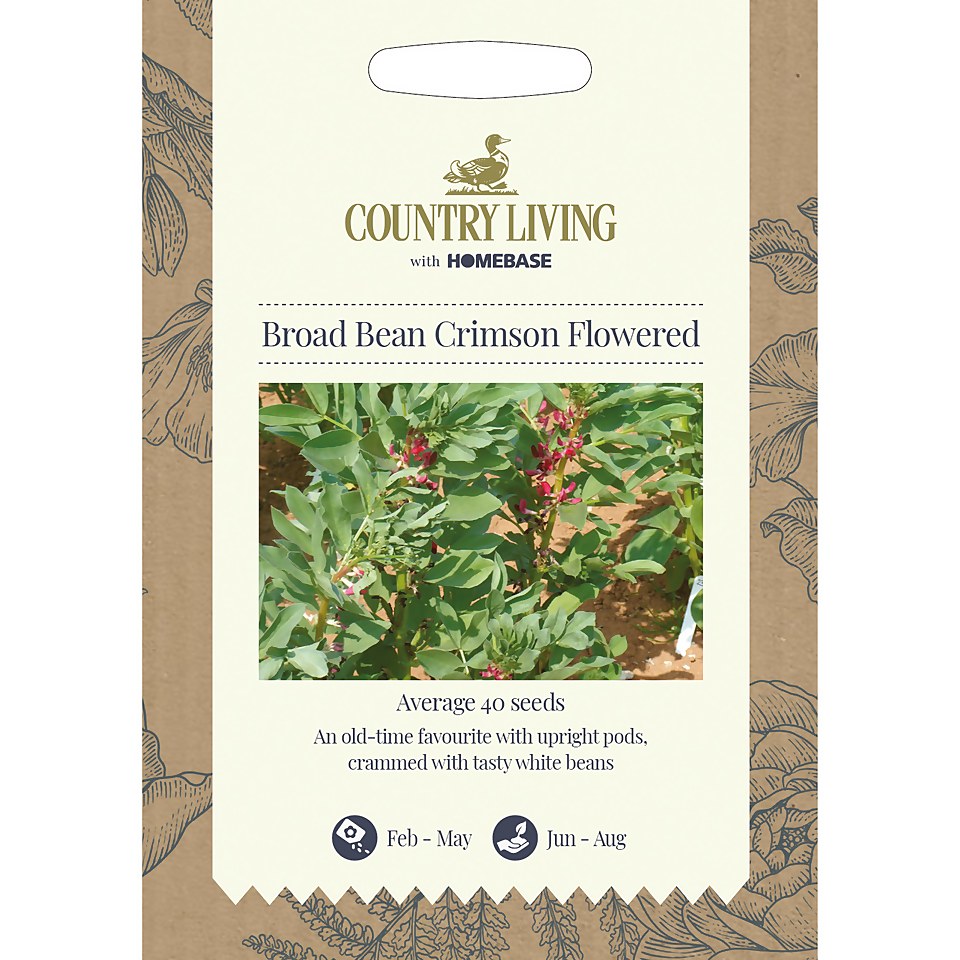 Country Living Broad Bean Crimson Flowered Seeds