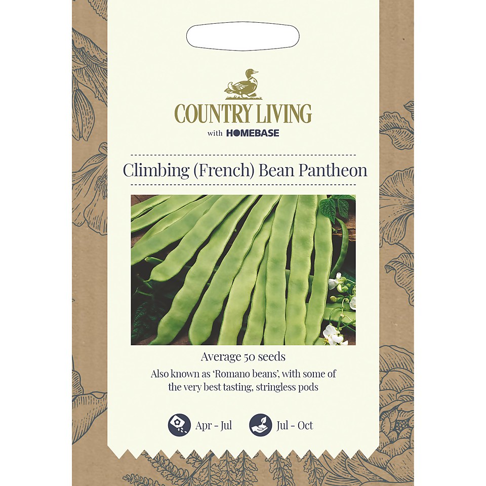 Country Living Climbing French Bean Pantheon Seeds