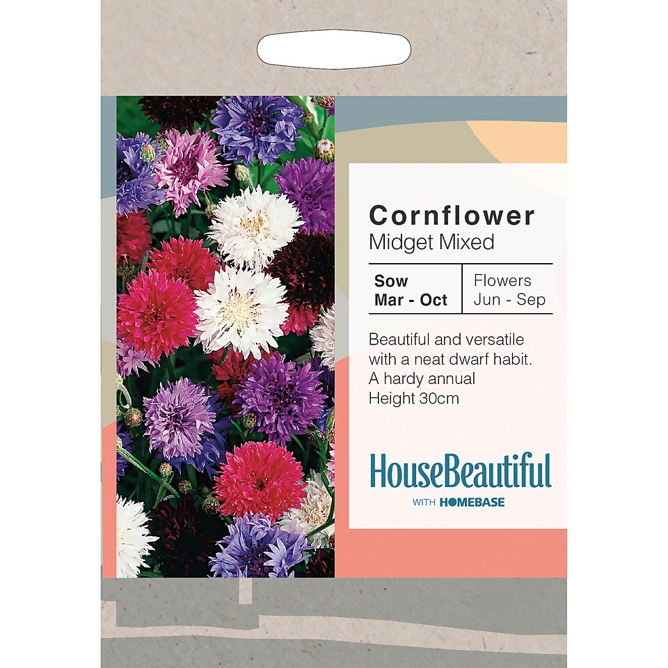 House Beautiful Cornflower Midget Mixed Seeds