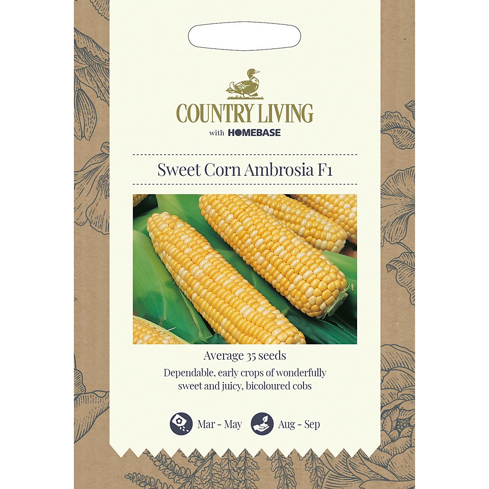 Country Living Sweet Corn Ambrosia F1 Seeds