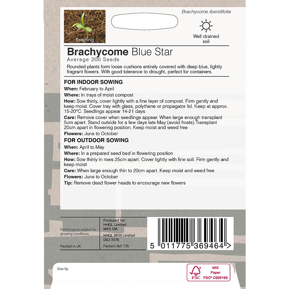 House Beautiful Brachycome Blue Star Seeds