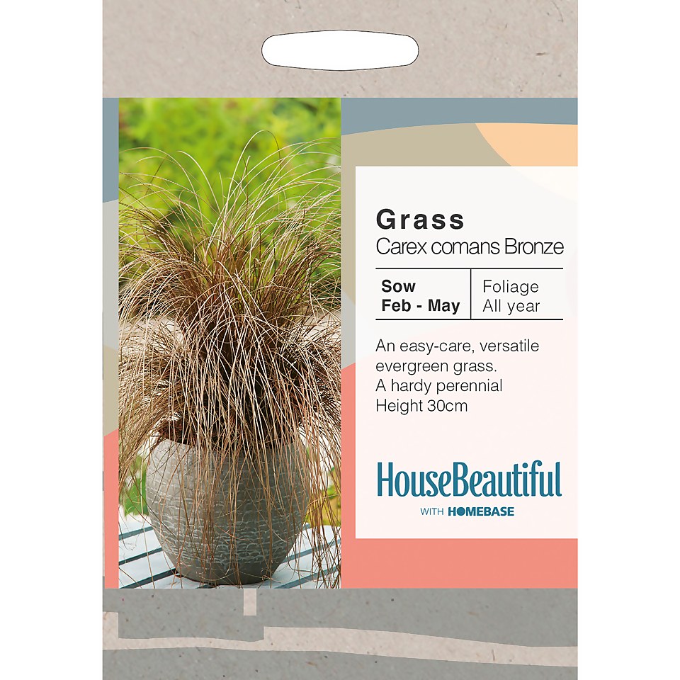 House Beautiful Grass Carex Comans Bronze Seeds