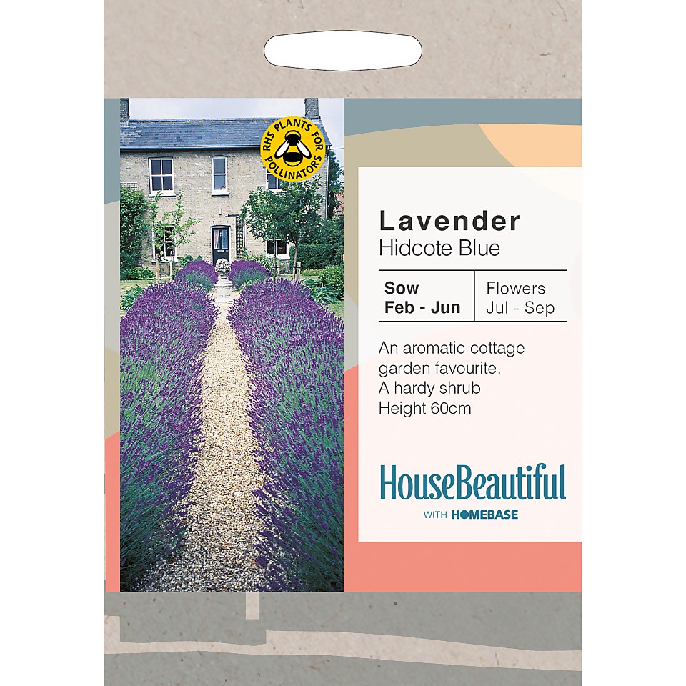 House Beautiful Lavender Hidcote Blue Seeds