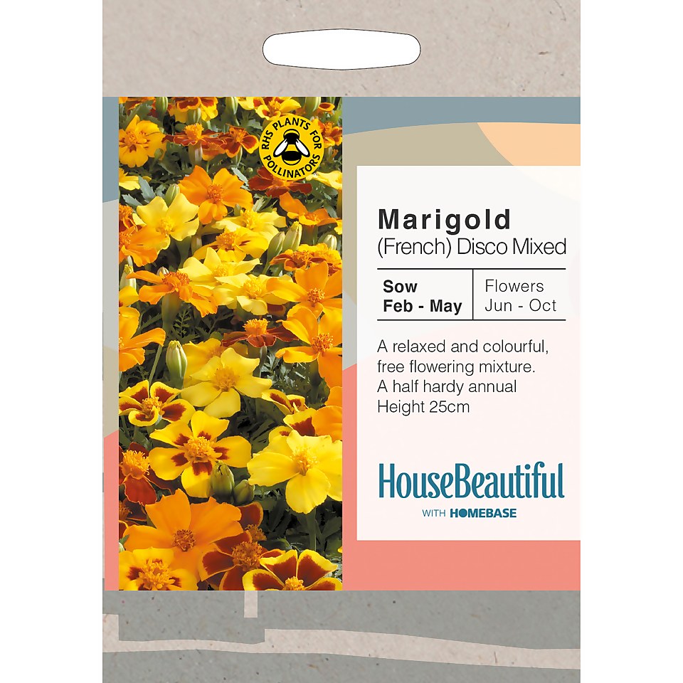 House Beautiful Marigold French Disco Mixed Seeds