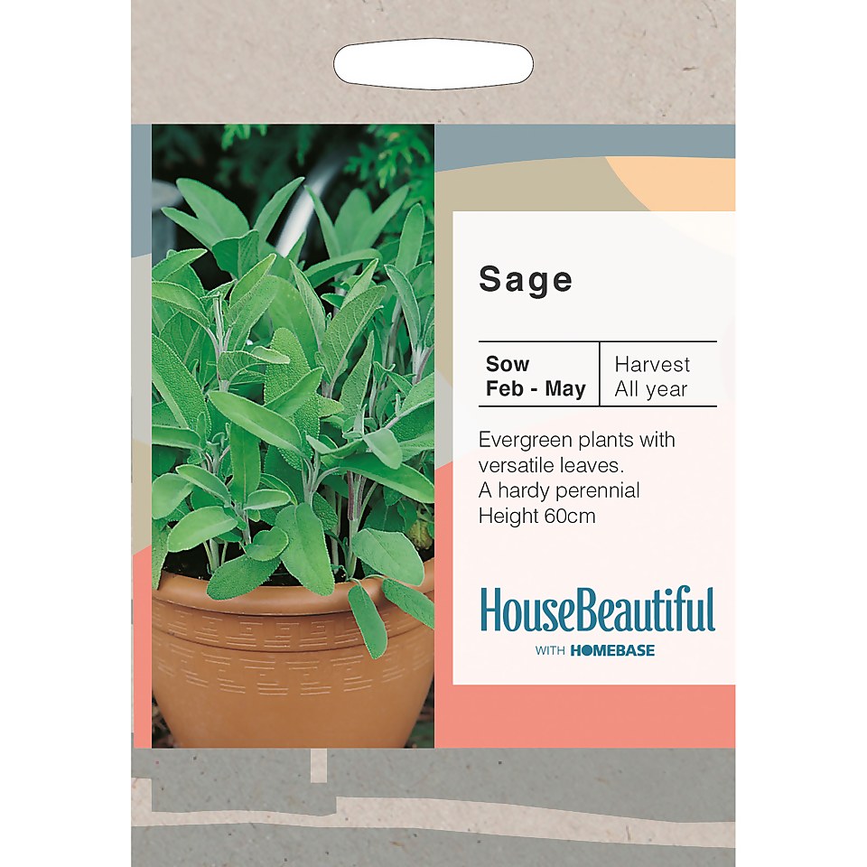 House Beautiful Sage Seeds