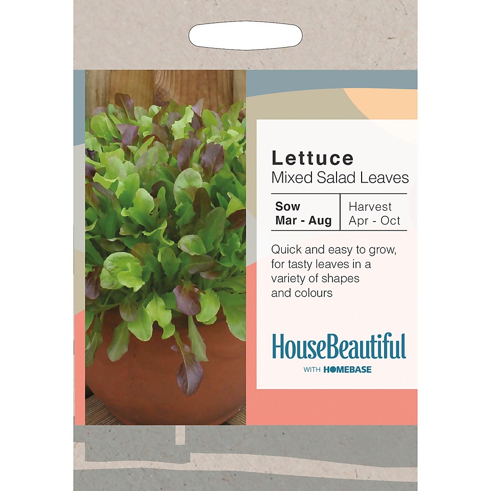 House Beautiful Mixed Lettuce Leaves Seeds