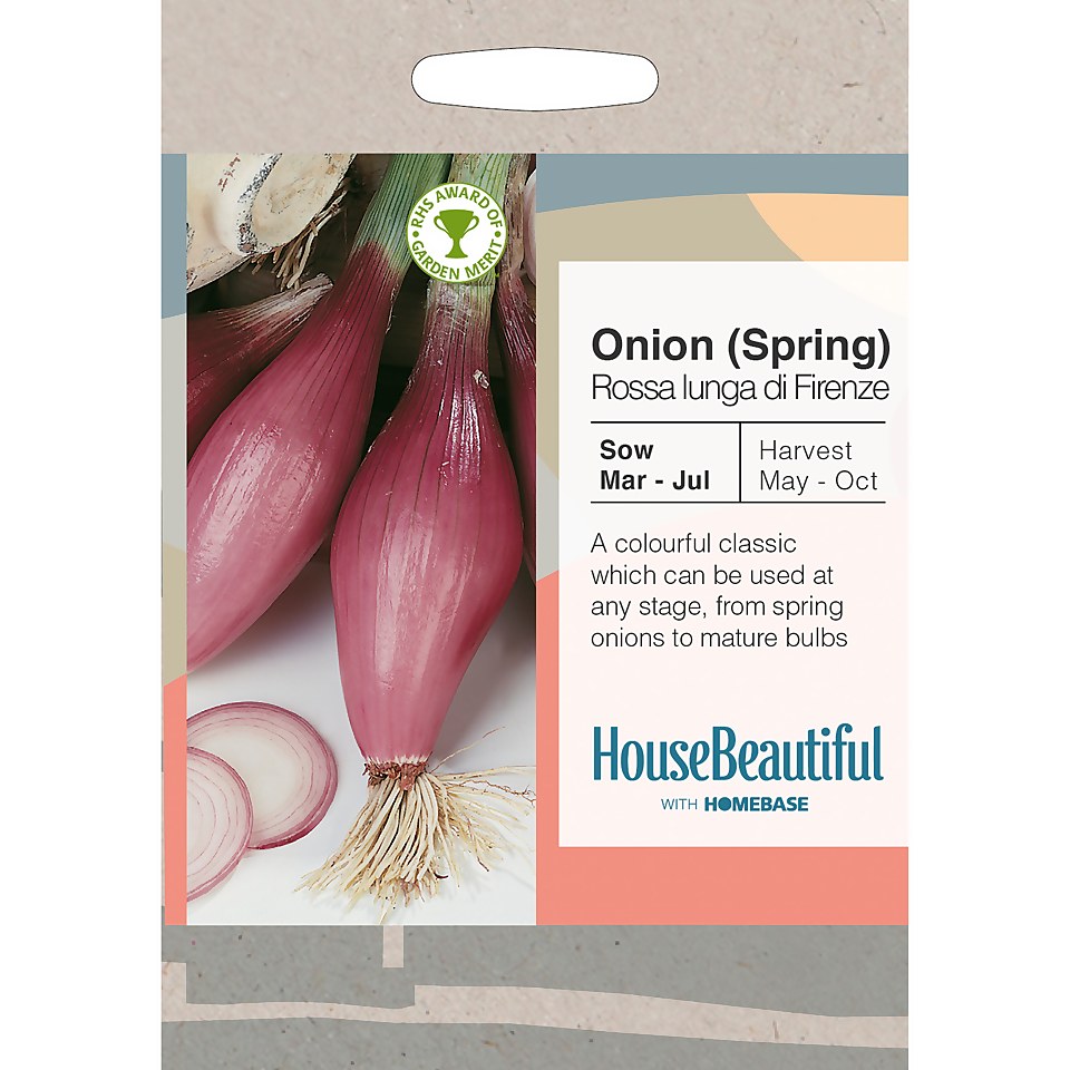 House Beautiful Onion Spring Rossa lunga di Firenze Seeds