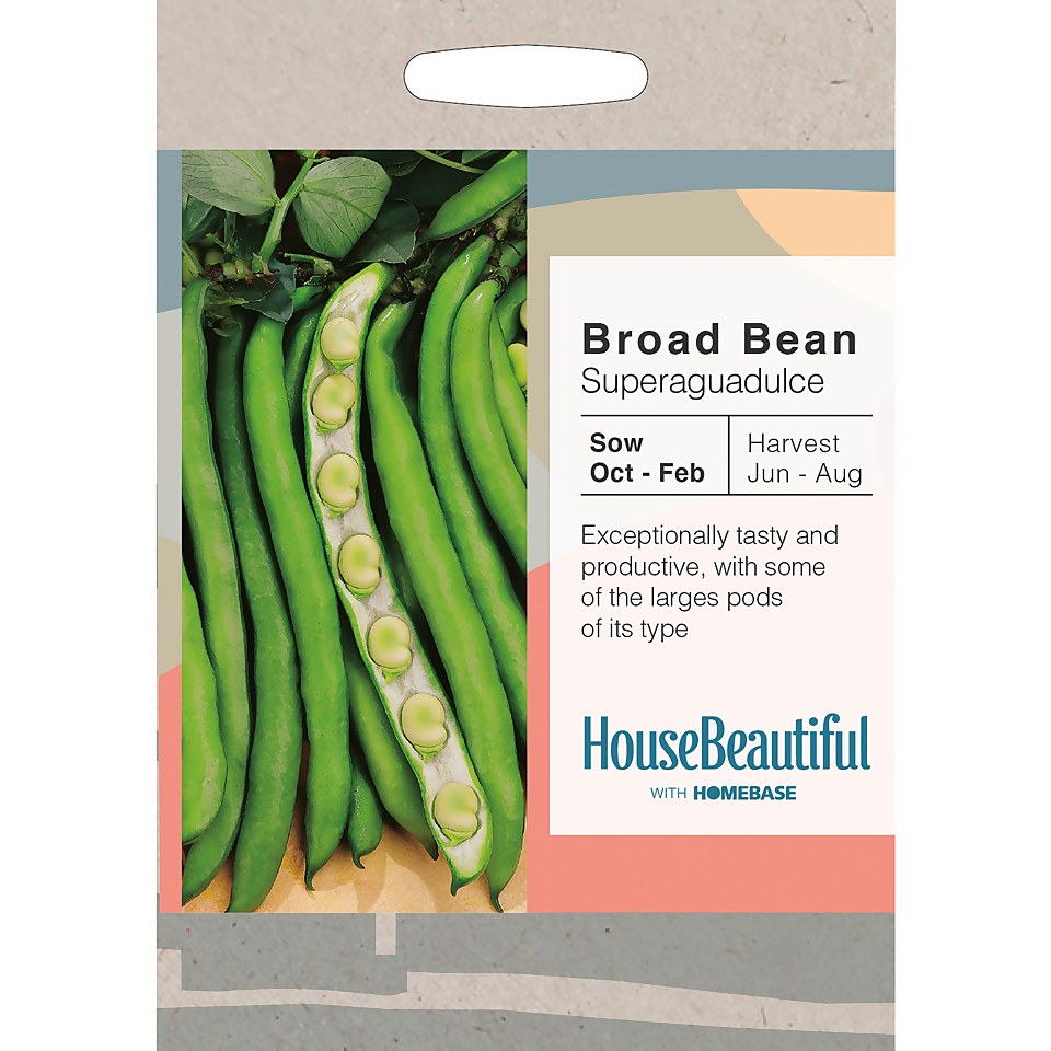 House Beautiful Broad Bean Superaguadulce Seeds