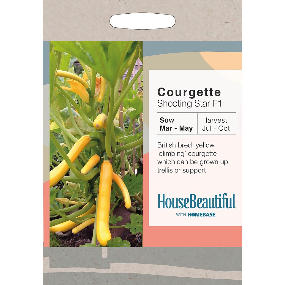 House Beautiful Courgette Shooting Star F1 Seeds