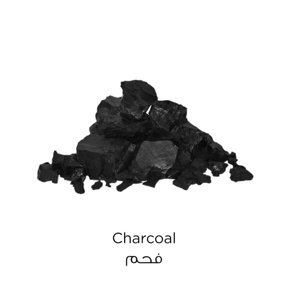 L'Oréal Paris Pure Clay Black Face Cleanser 150ml
