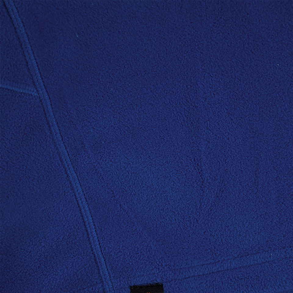 Men's Prism Mirco Polertec Half Zip fleece - Blue